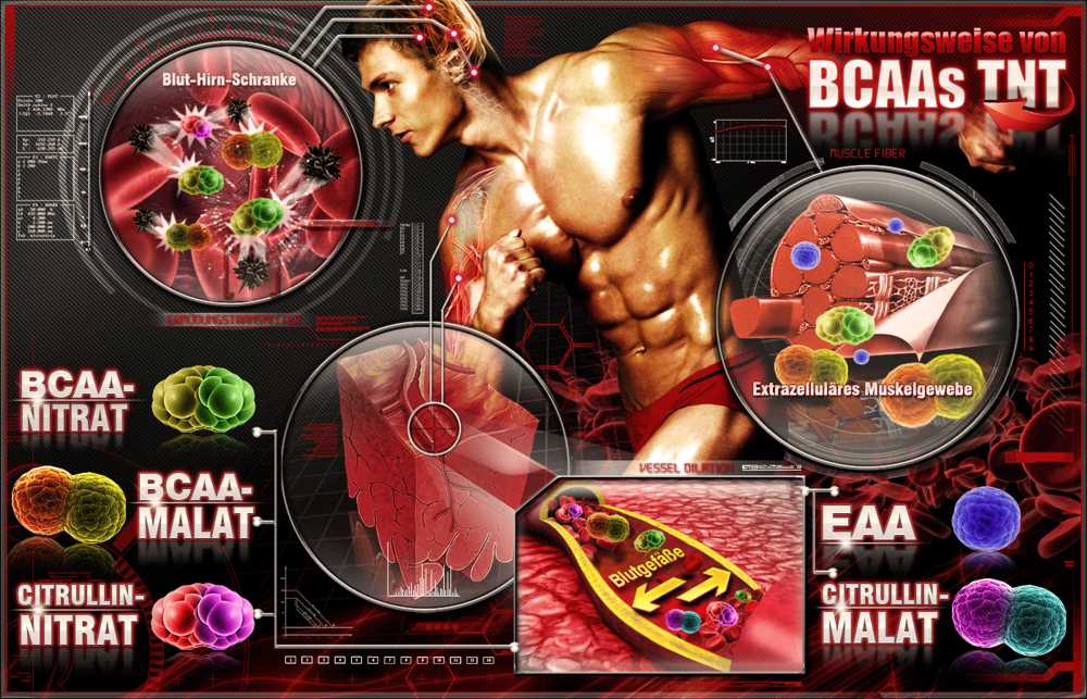 bcaa20tnt20anatomy20pictures201000px