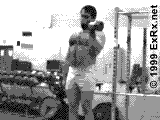 dbcurl