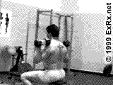dbshoulderpress